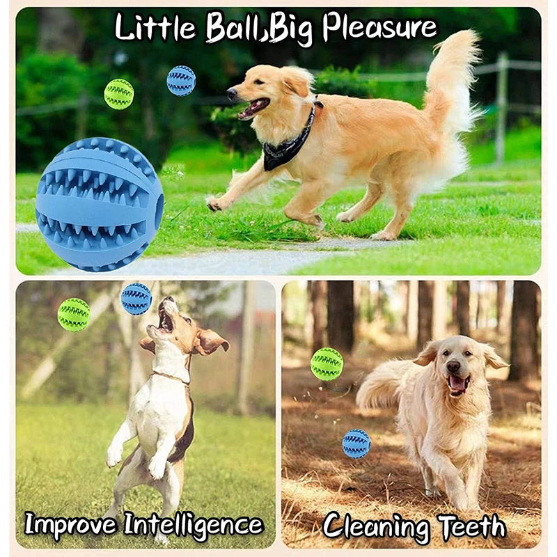 Interactive Rubber Dog Toy Ball – Chew, Treat Feeder & Tooth Cleaning