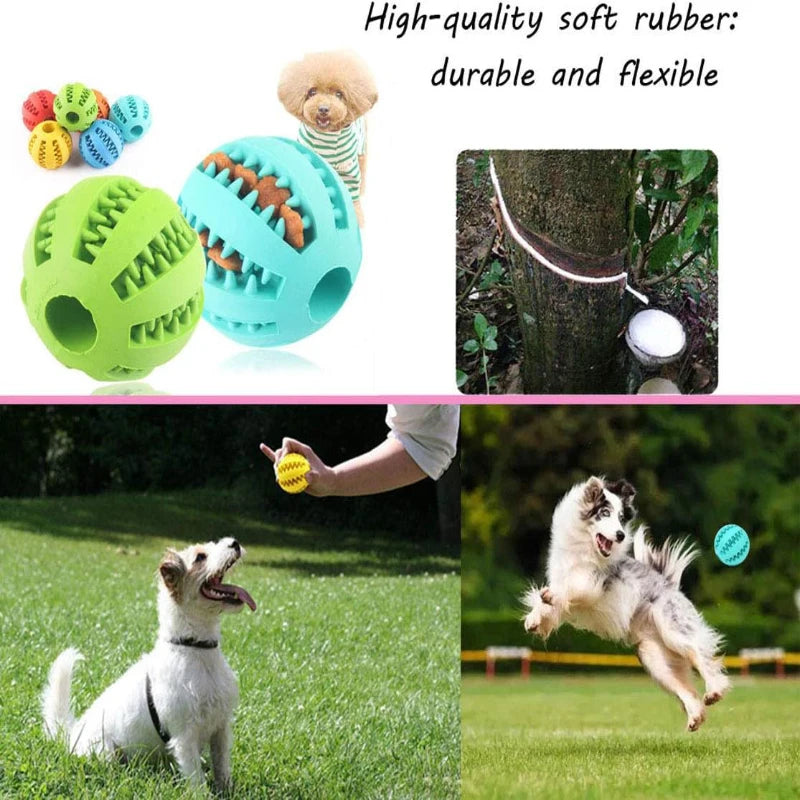 Interactive Rubber Dog Toy Ball – Chew, Treat Feeder & Tooth Cleaning