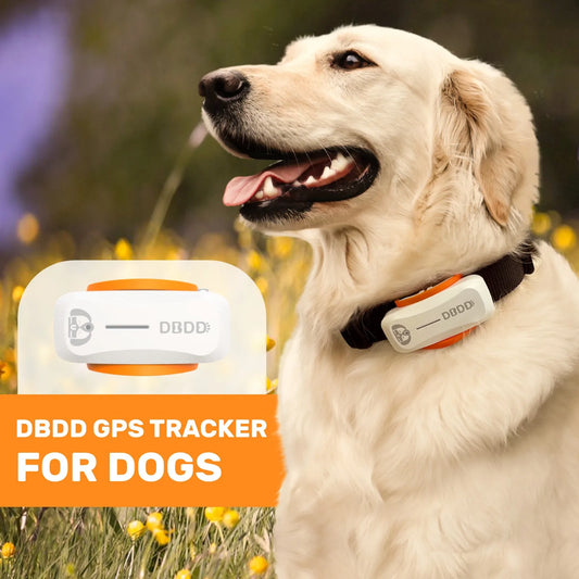 Waterproof GPS Dog Tracker – Real-Time Location & Activity Monitoring