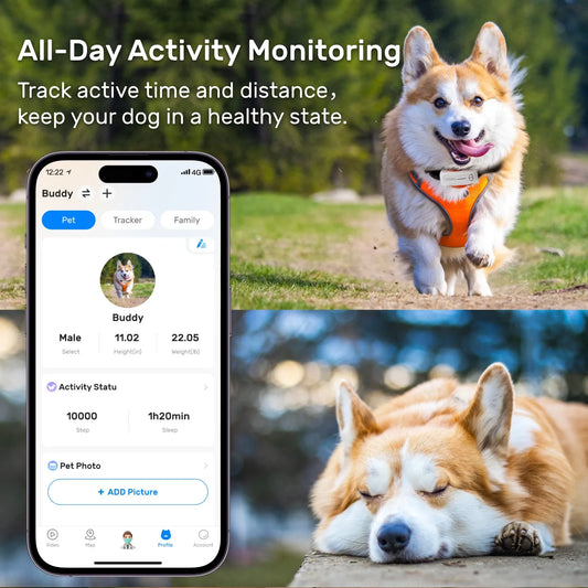 Waterproof GPS Dog Tracker – Real-Time Location & Activity Monitoring
